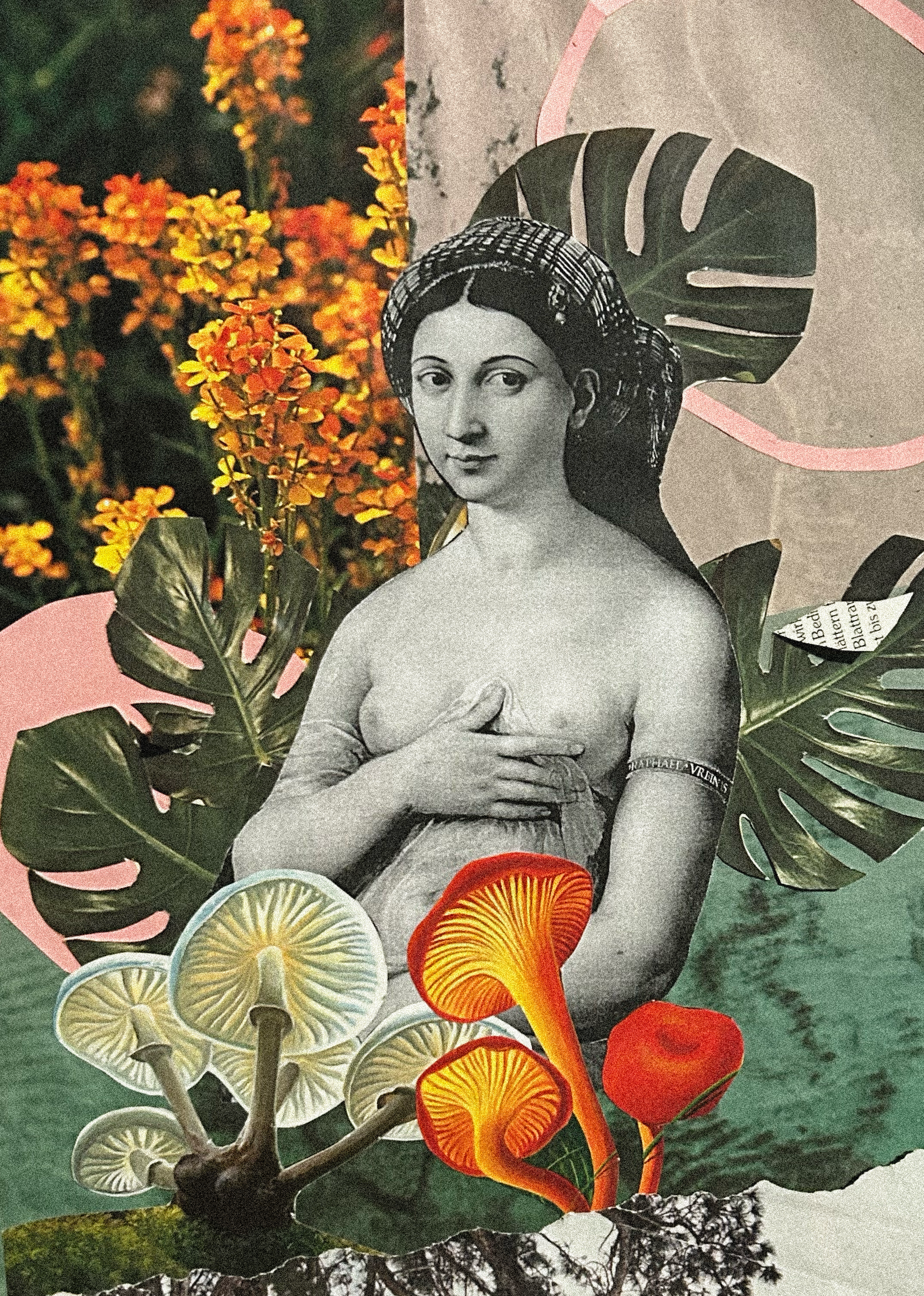 Collage